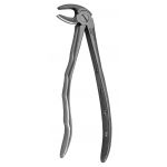 Extraction Forceps For Adult Set of 10pcs