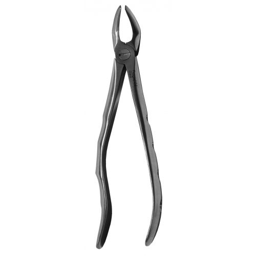 31 European Style Forceps, For Lower Roots, Both Sides 
